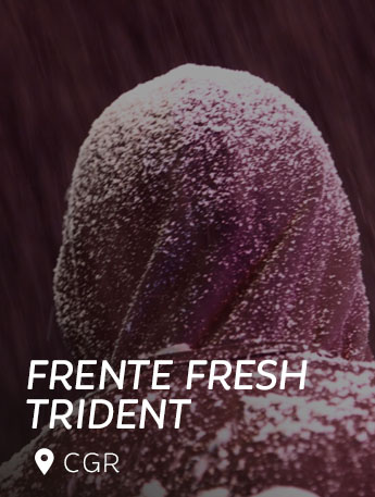 Frente Fresh Trident